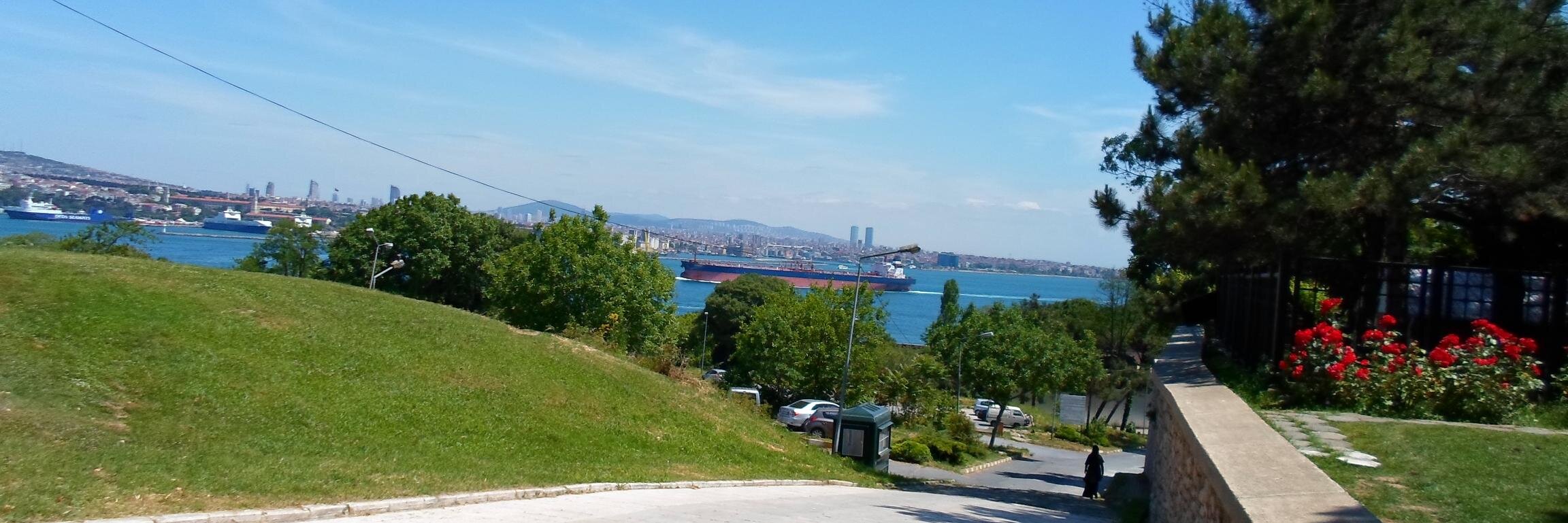 allihalil's profile banner image