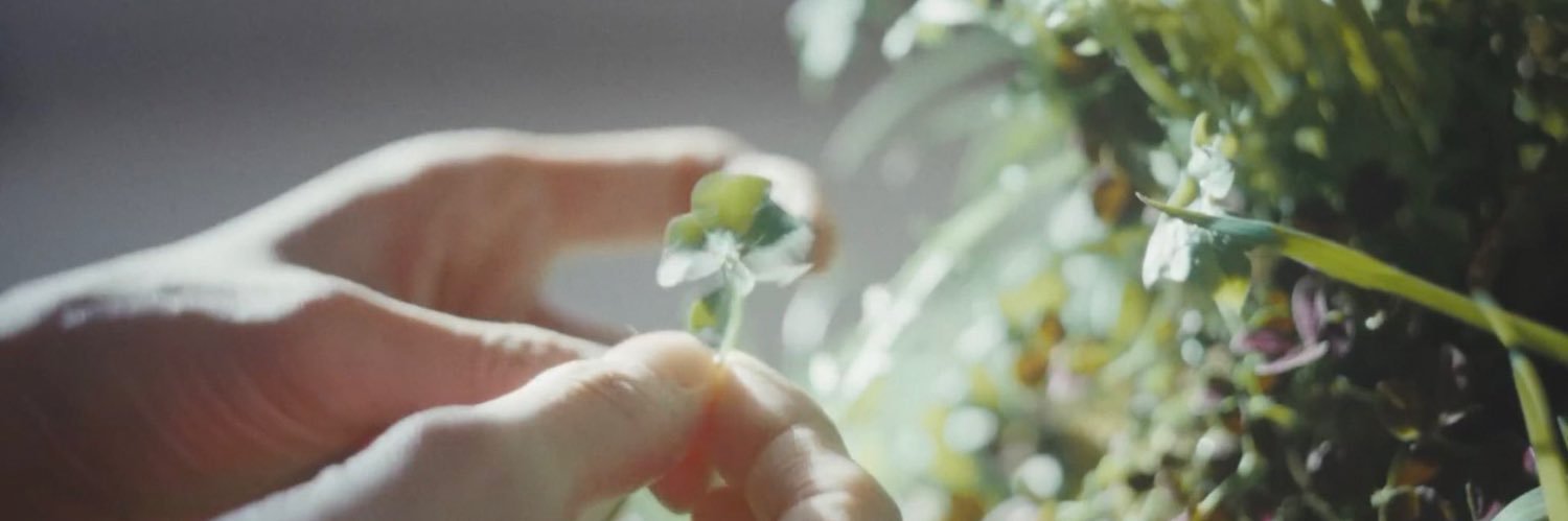 (rest) 𝓀𝘪𝘮𝘱𝘰𝘳𝓁𝑒𝑒₊˚+แม่บ้านทหารบก banner