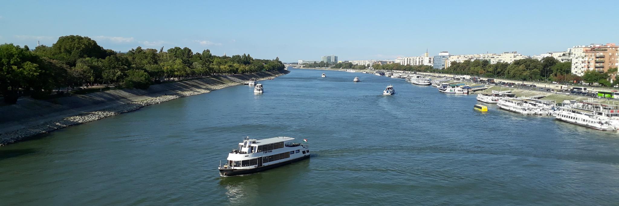 Diana Harding banner