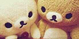 Yulansafrini's profile banner image