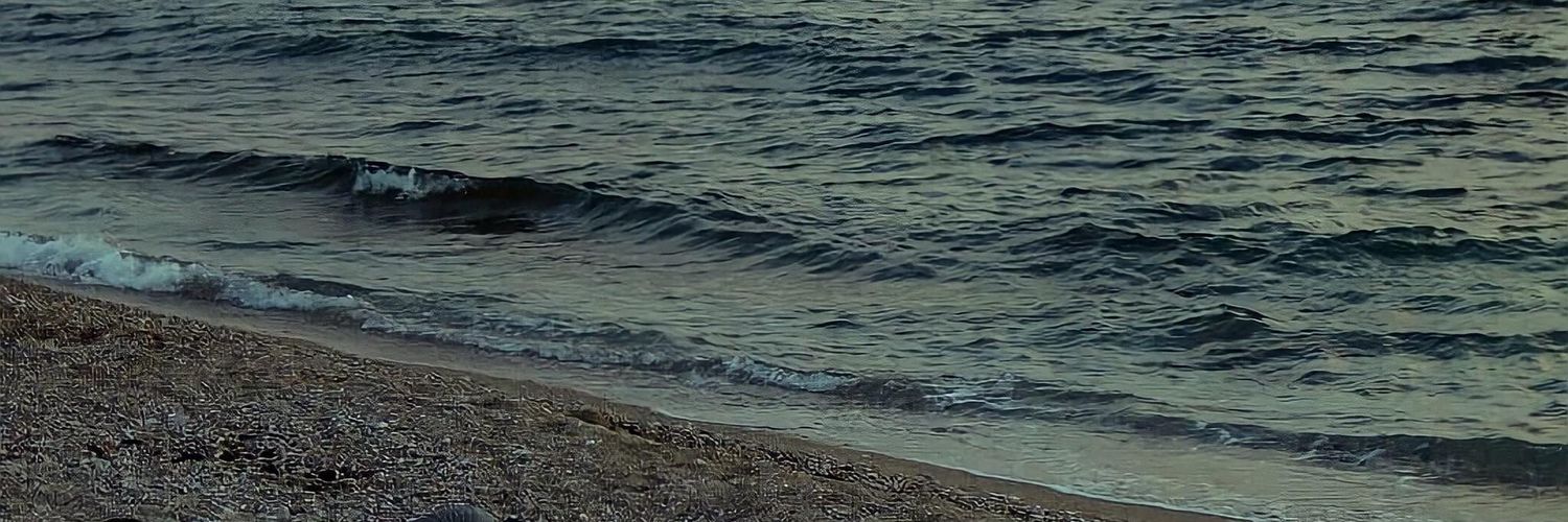 shrouuuq_m's profile banner image