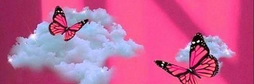 Catherine Schneider banner