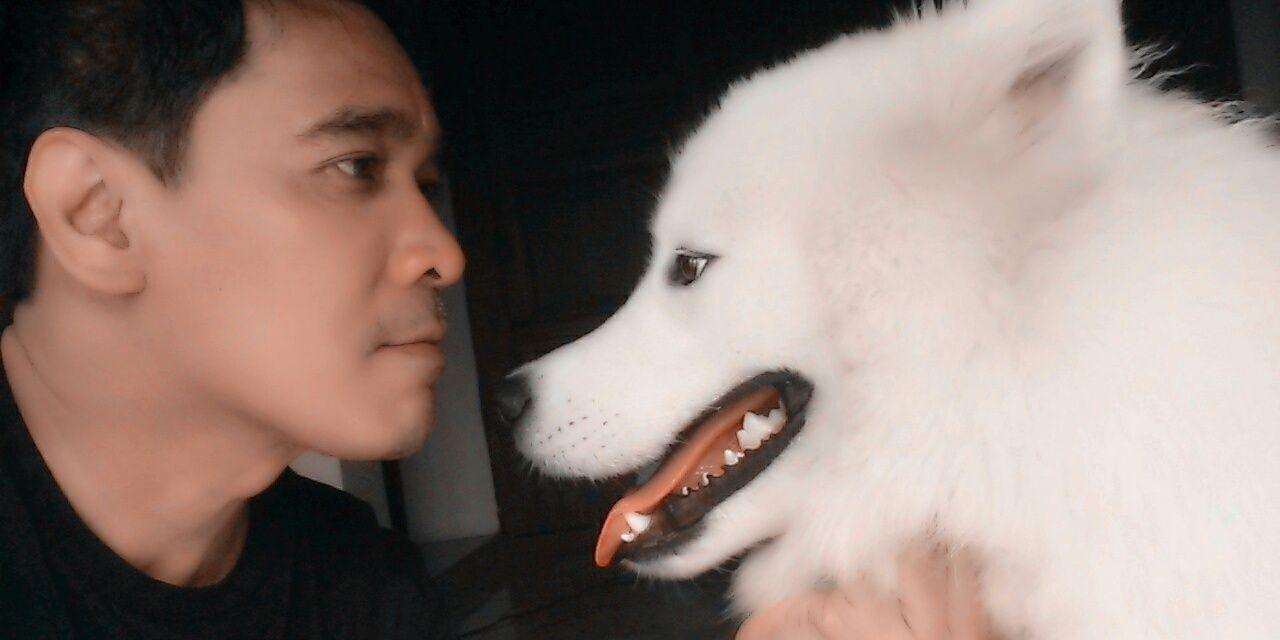 YandaKevinzo's profile banner image