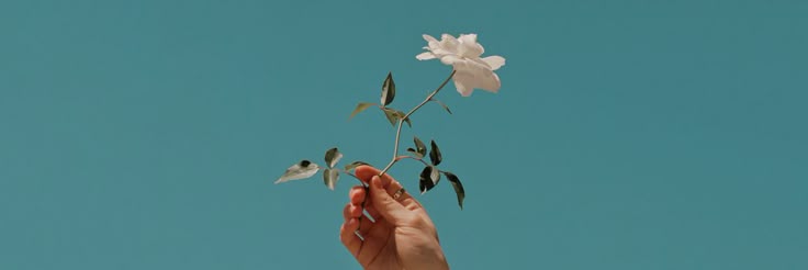 ' banner