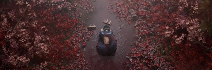 𝓲𝓒𝓪𝓻𝓸𝓵 banner