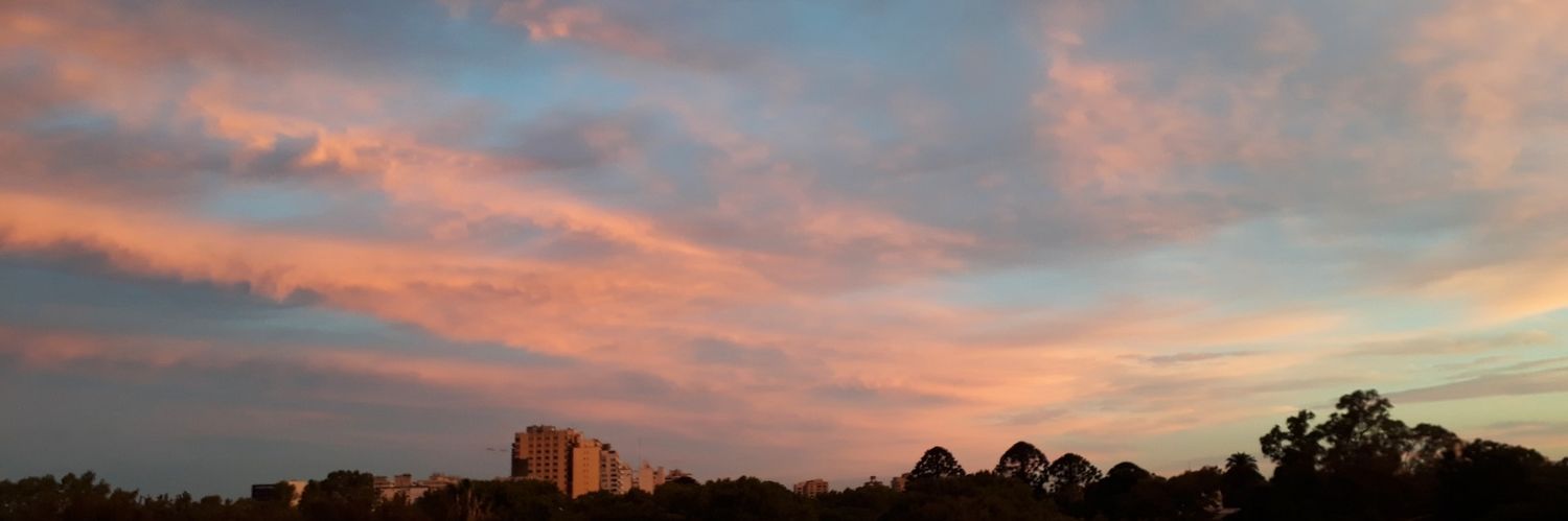 nmolina91's profile banner image