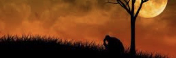 MarioHD3913 Profile Banner