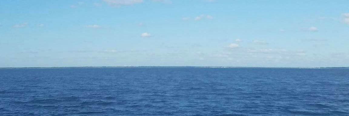 csCoconut101's profile banner image