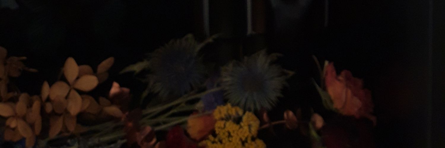 DamienCL's profile banner image