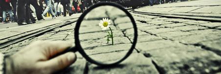 DetectivesMJ's profile banner image