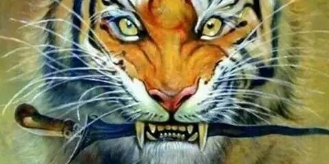 khusiary's profile banner image