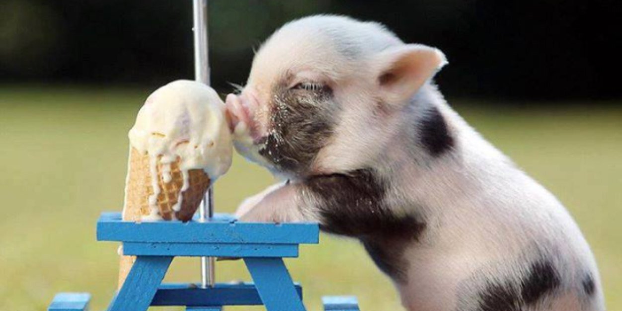 DeEm10102020's profile banner image