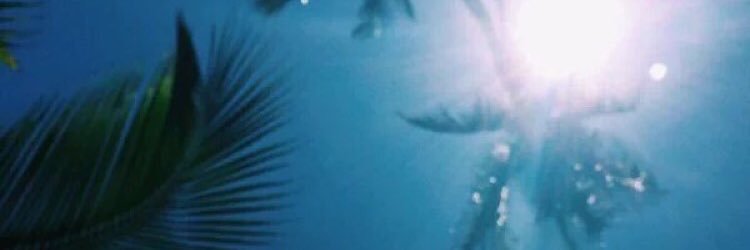 rin_kin0212's profile banner image