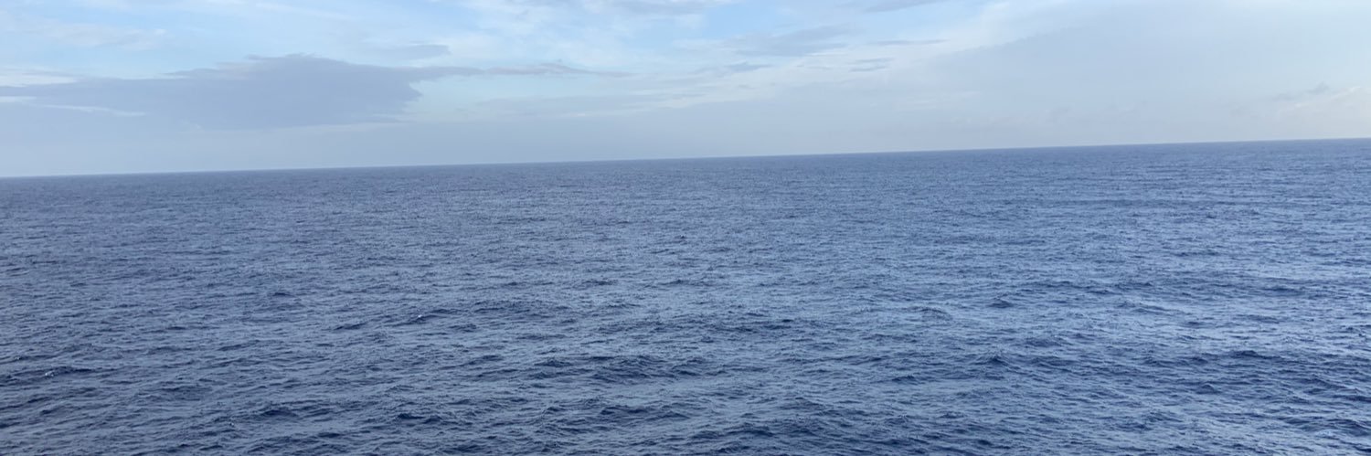 ShelliMcNeil78's profile banner image
