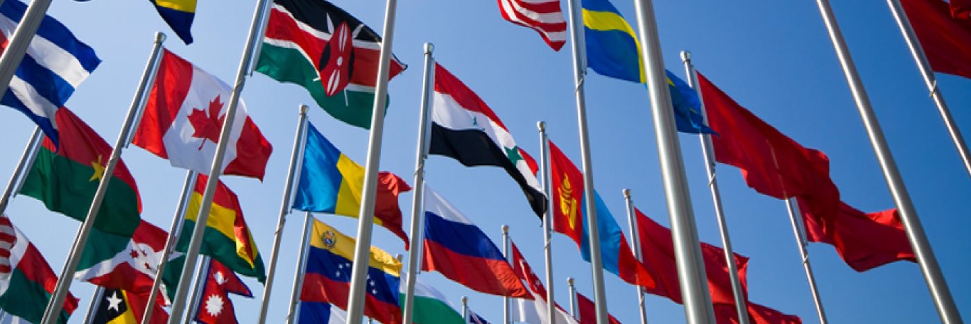 Battlefield Model UN banner