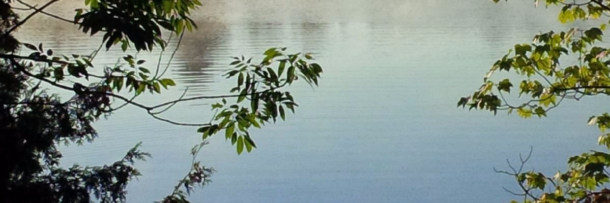 Gillian Hall banner