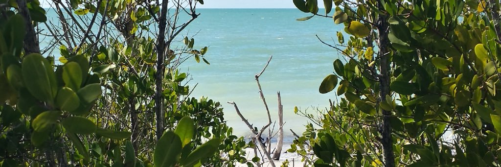 whitmangregory's profile banner image