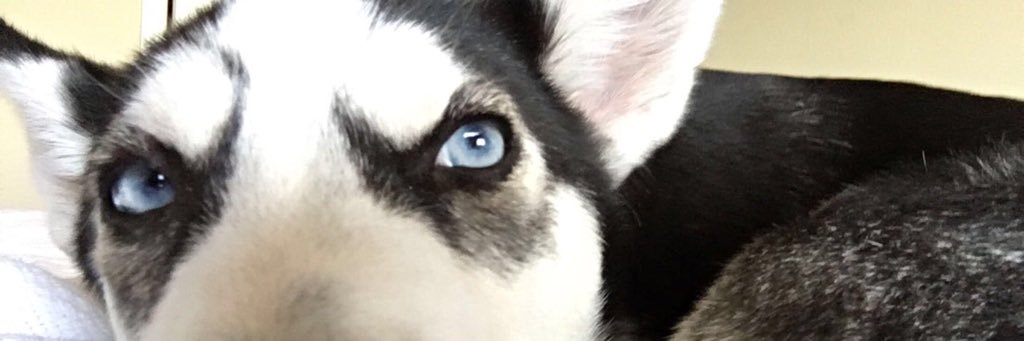 rymor24's profile banner image