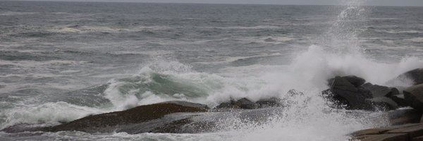 EIUI_Dal Profile Banner