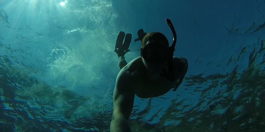 barrie-john chapman banner