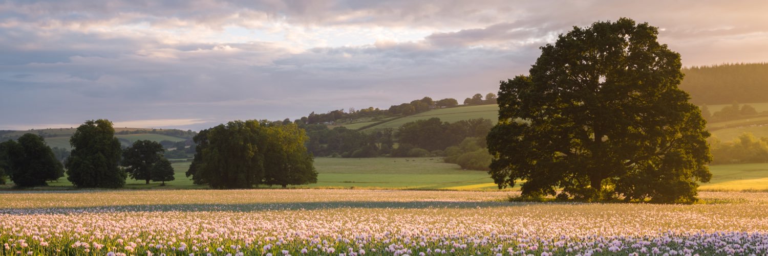 JRTurnerPhoto's profile banner image