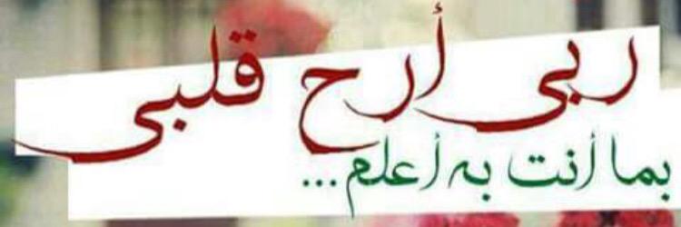 manool_ma's profile banner image