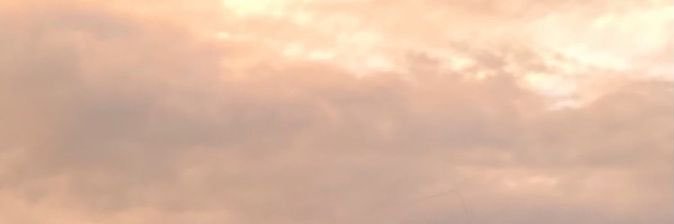 scyllasa banner