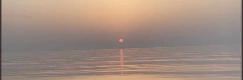 LauraBrebion's profile banner image