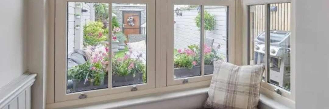 Senator Windows banner