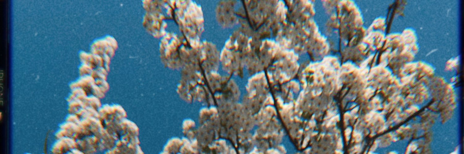 abeedoreen's profile banner image