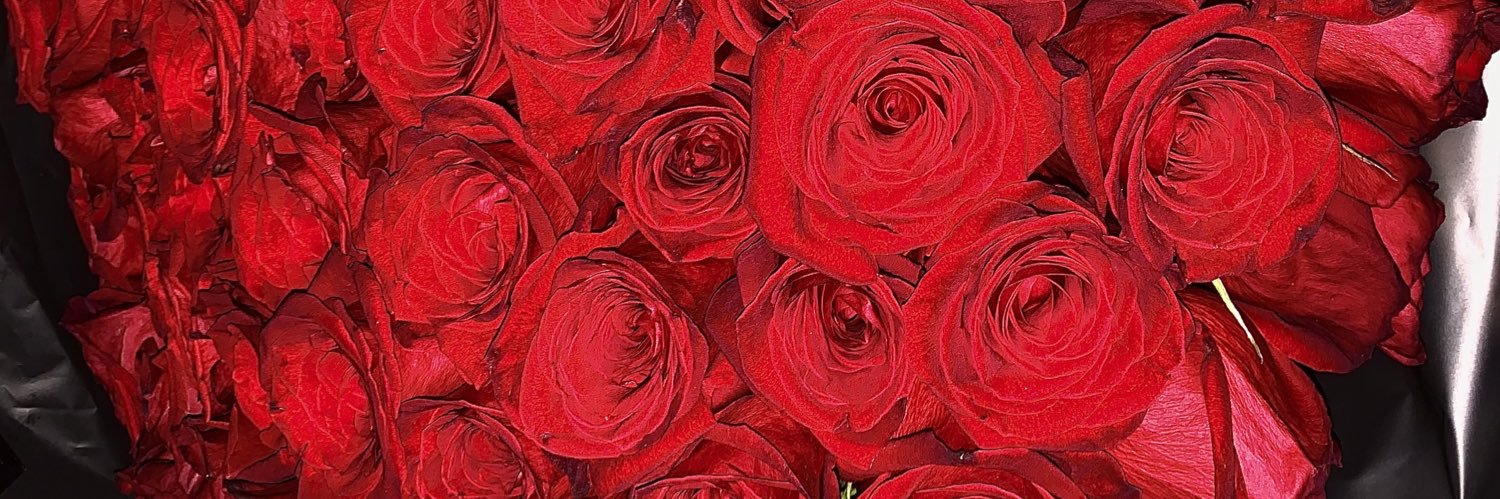 jazminramirez__'s profile banner image