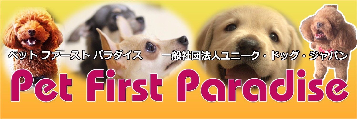 petfirstparad's profile banner image