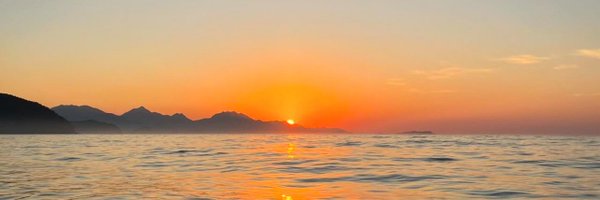 daitan____ Profile Banner