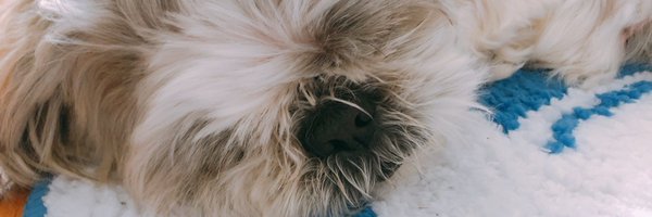 a24_aytk Profile Banner