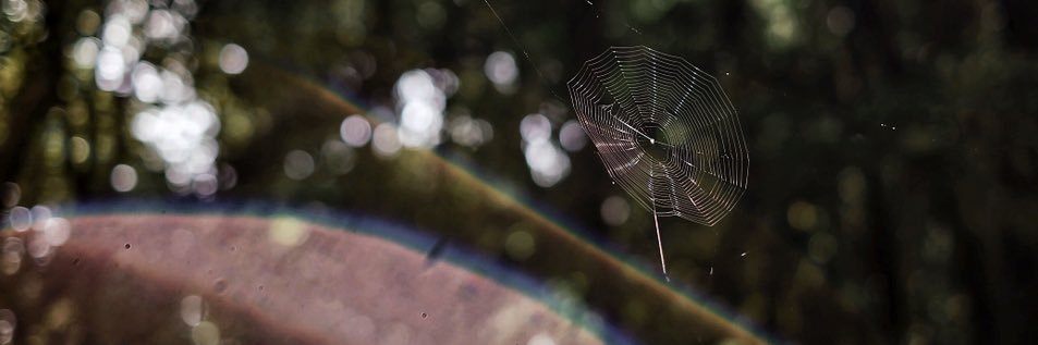 tor_r_ror's profile banner image