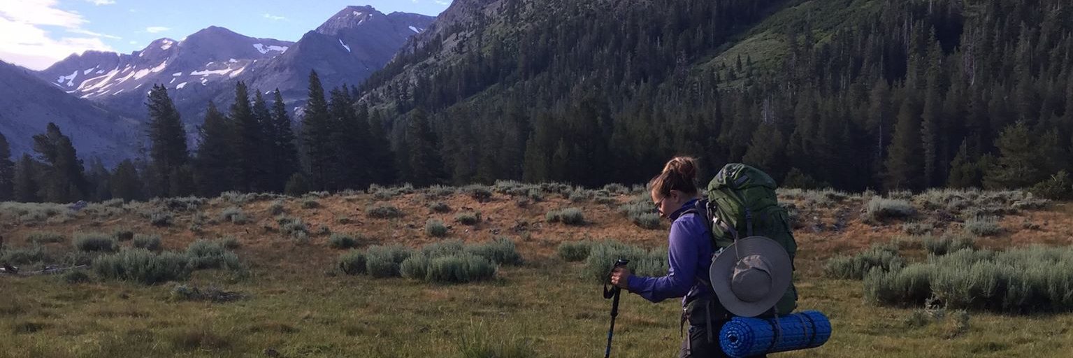 Regina Spranger, PhD banner