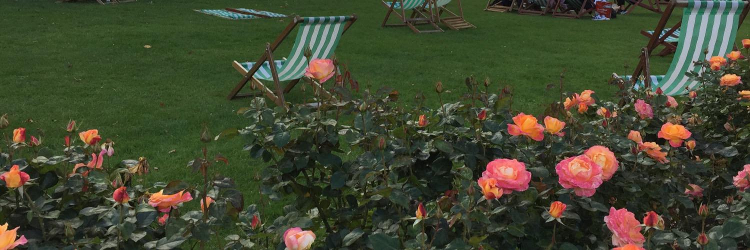 ruciki's profile banner image