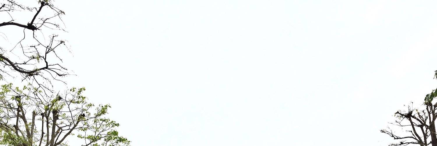 เมล่อน banner