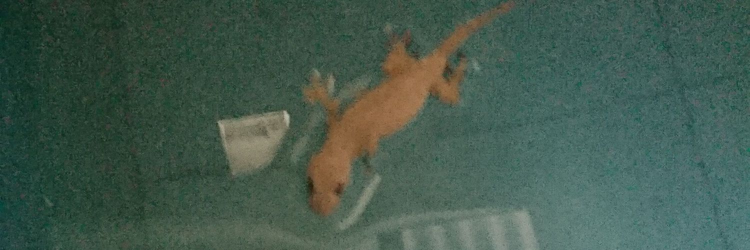 masbuuuud's profile banner image