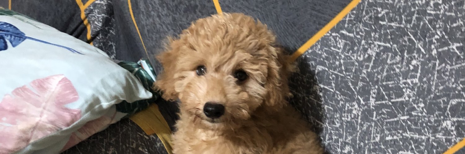 lowiswis's profile banner image