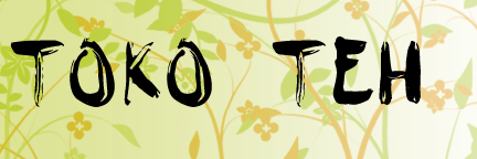 tokoteh's profile banner image