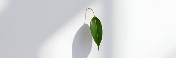prakash81854191 Profile Banner