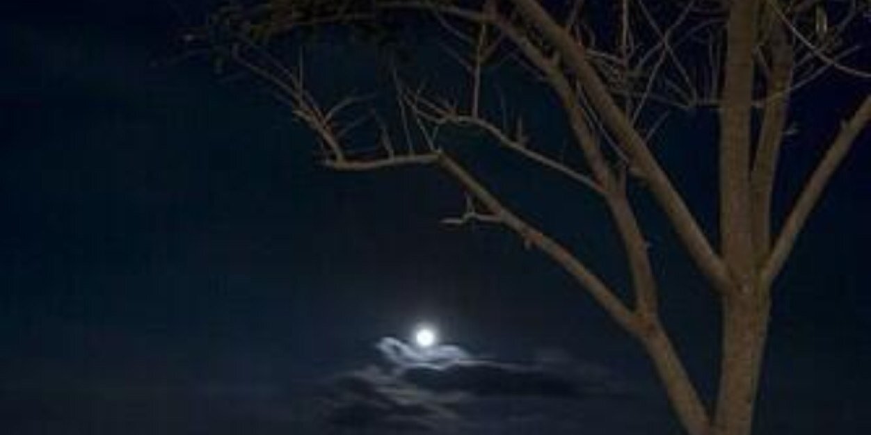 almzzzzn's profile banner image