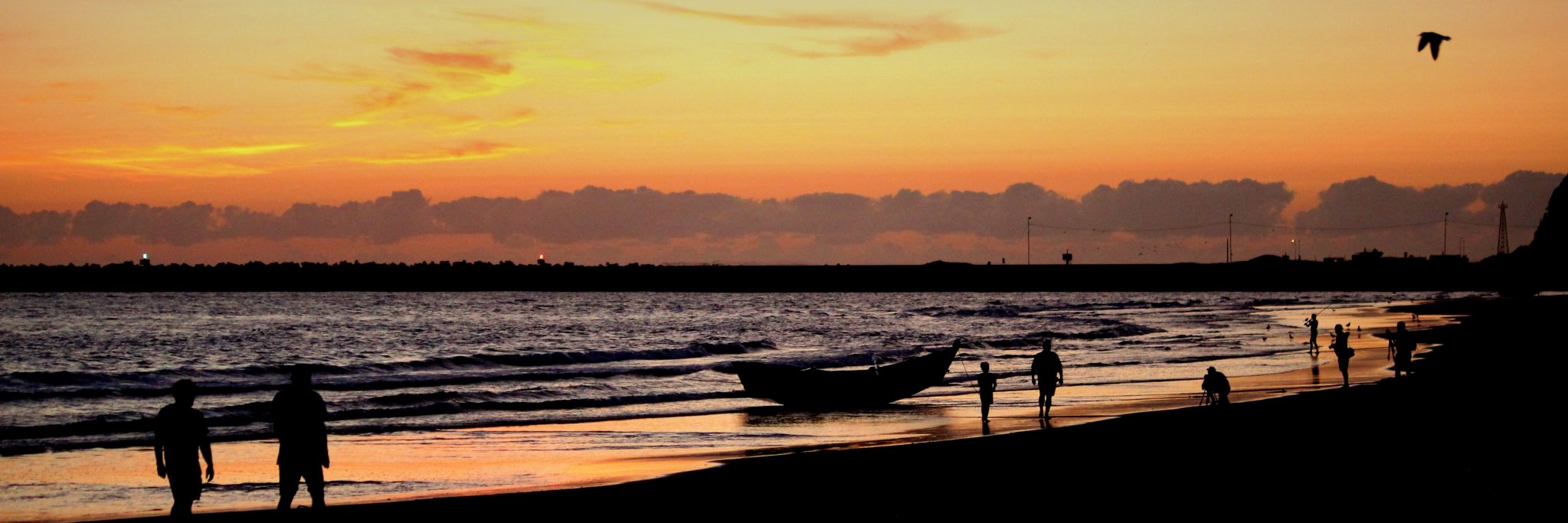 Gavin du Plessis banner