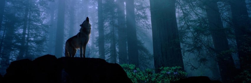 lnss691's profile banner image