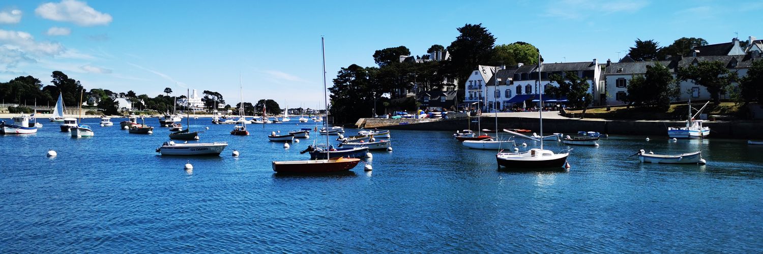 Dimitri Queffelec banner