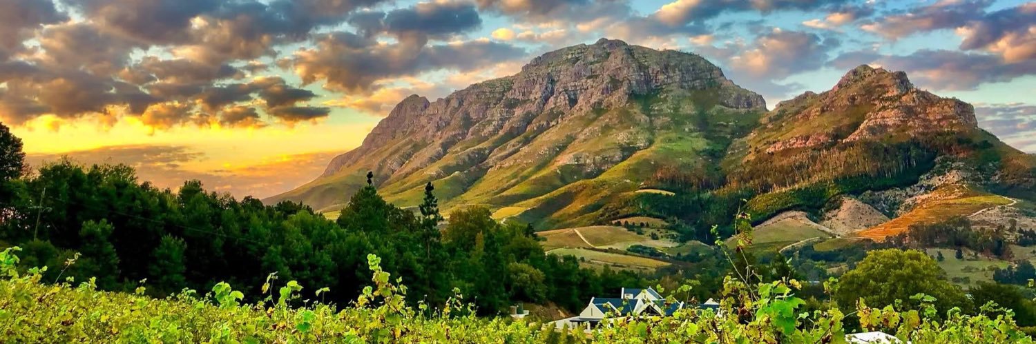 Melanie vd Merwe banner