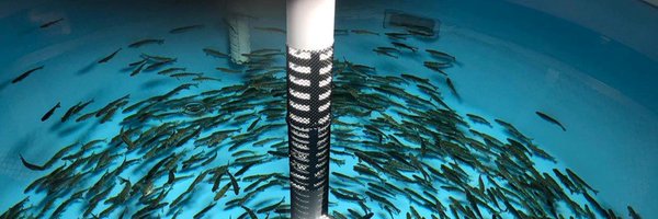 DanWMont Profile Banner