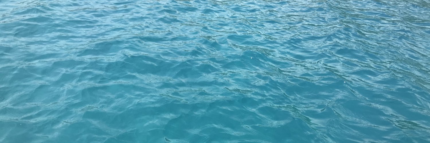 bittercholate's profile banner image