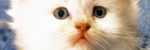 duda_john's profile banner image